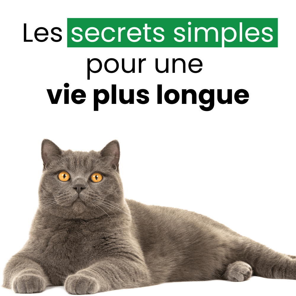E-book - Les secrets simples pour une vie plus longue - oaura