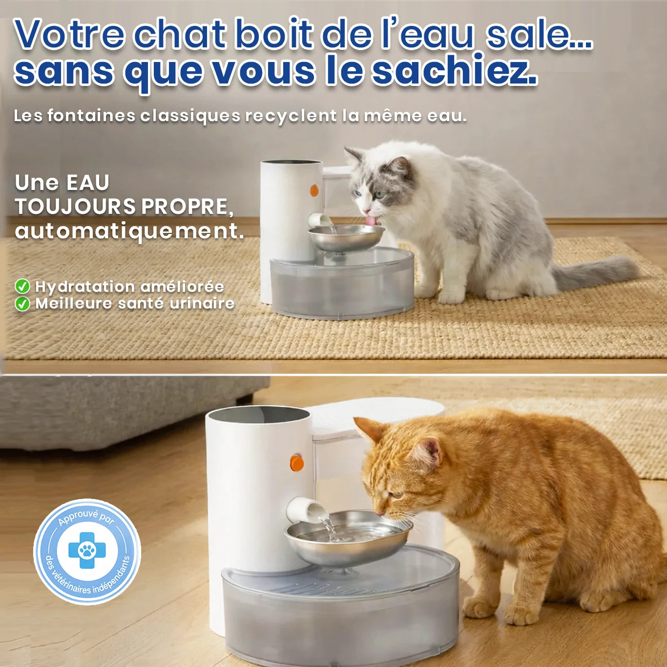 Chat buvant dans la fontaine à eau Aquaflow avec eau toujours propre