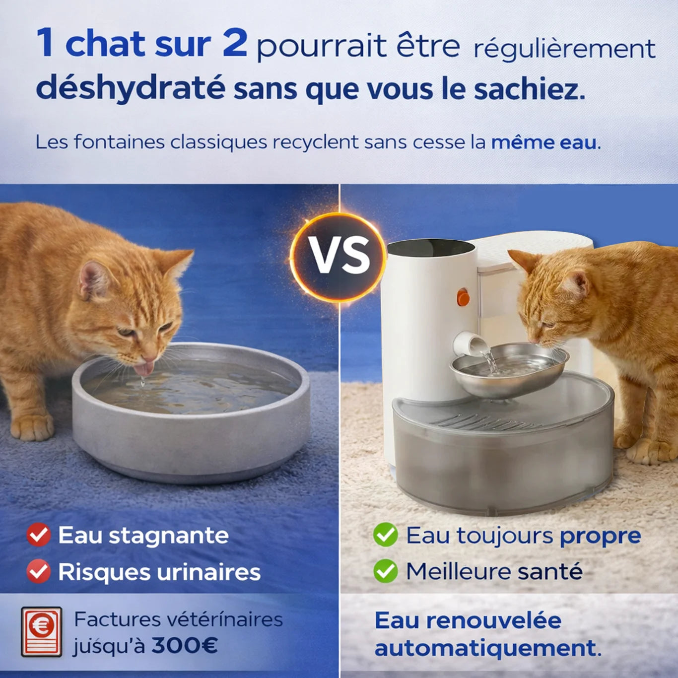 Comparatif entre un bol d’eau stagnante et la fontaine à eau Aquaflow
