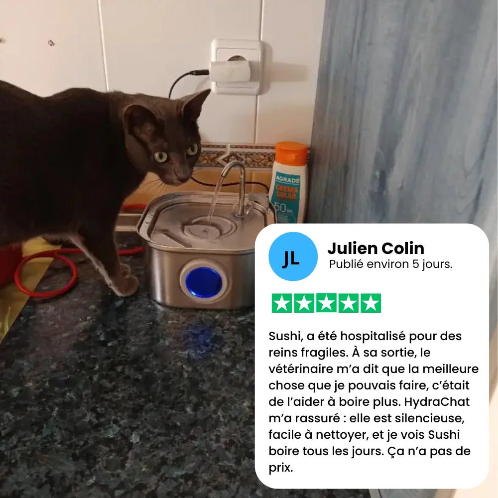 Avis client Julien sur la fontaine à eau chat HydraChat silencieuse et facile à nettoyer