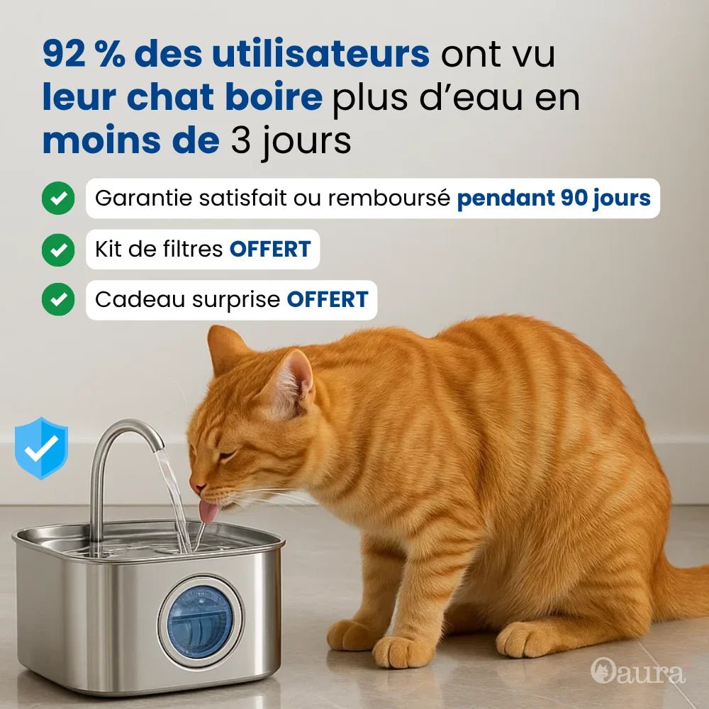 Chat roux buvant dans la fontaine à eau HydraChat avec LED de niveau d’eau