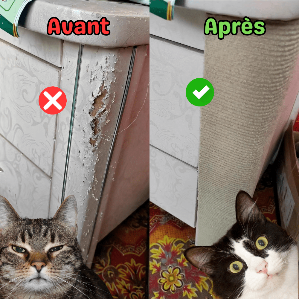 PolyGriffe - Griffoir Autocollant Chat Découpable & Repositionnable - oaura