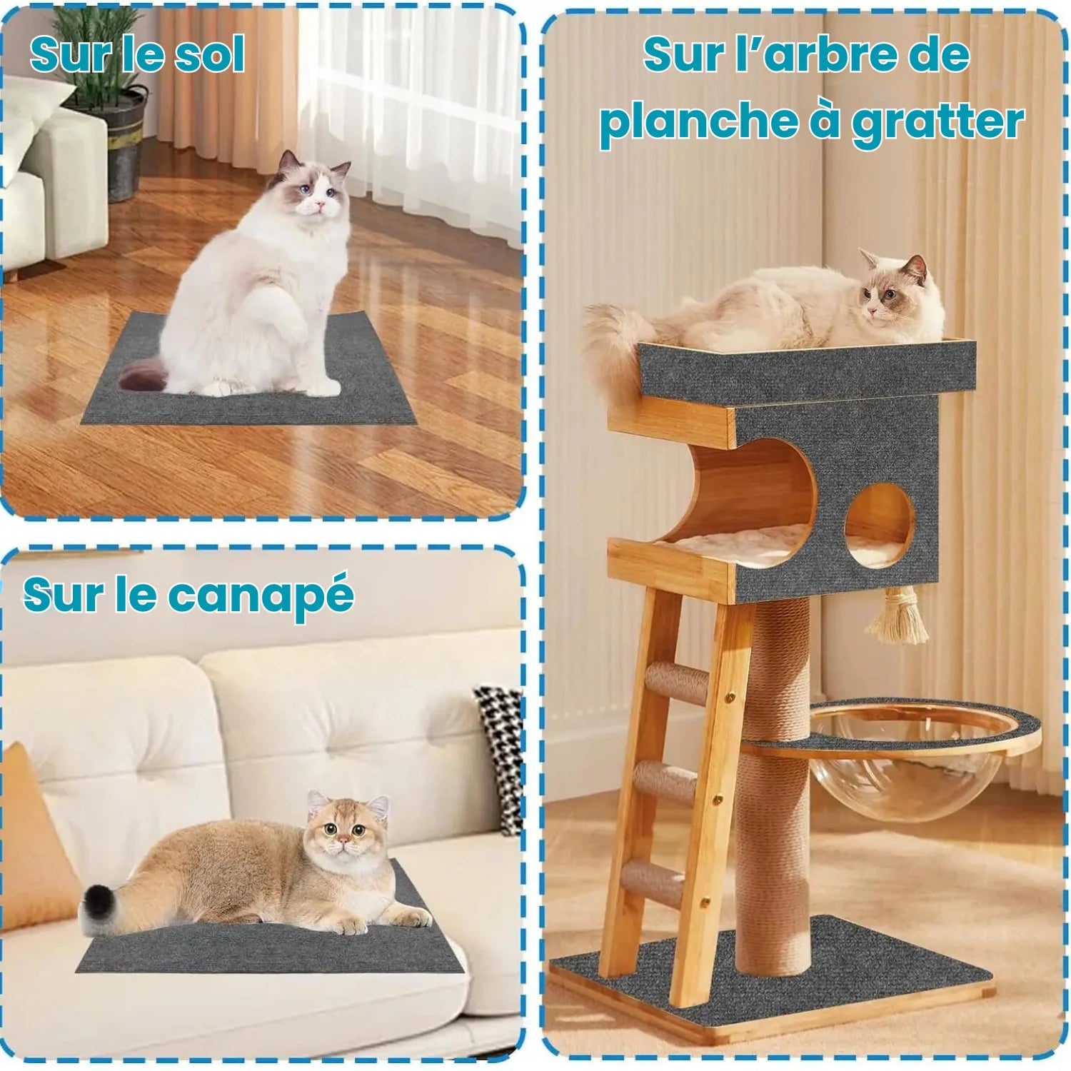 PolyGriffe - Griffoir Autocollant Chat Découpable & Repositionnable - oaura