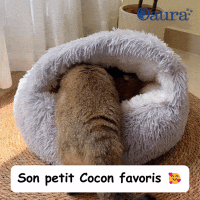 PawsCave grotte pour chat douillette et cocon anti-stress lavable en machine