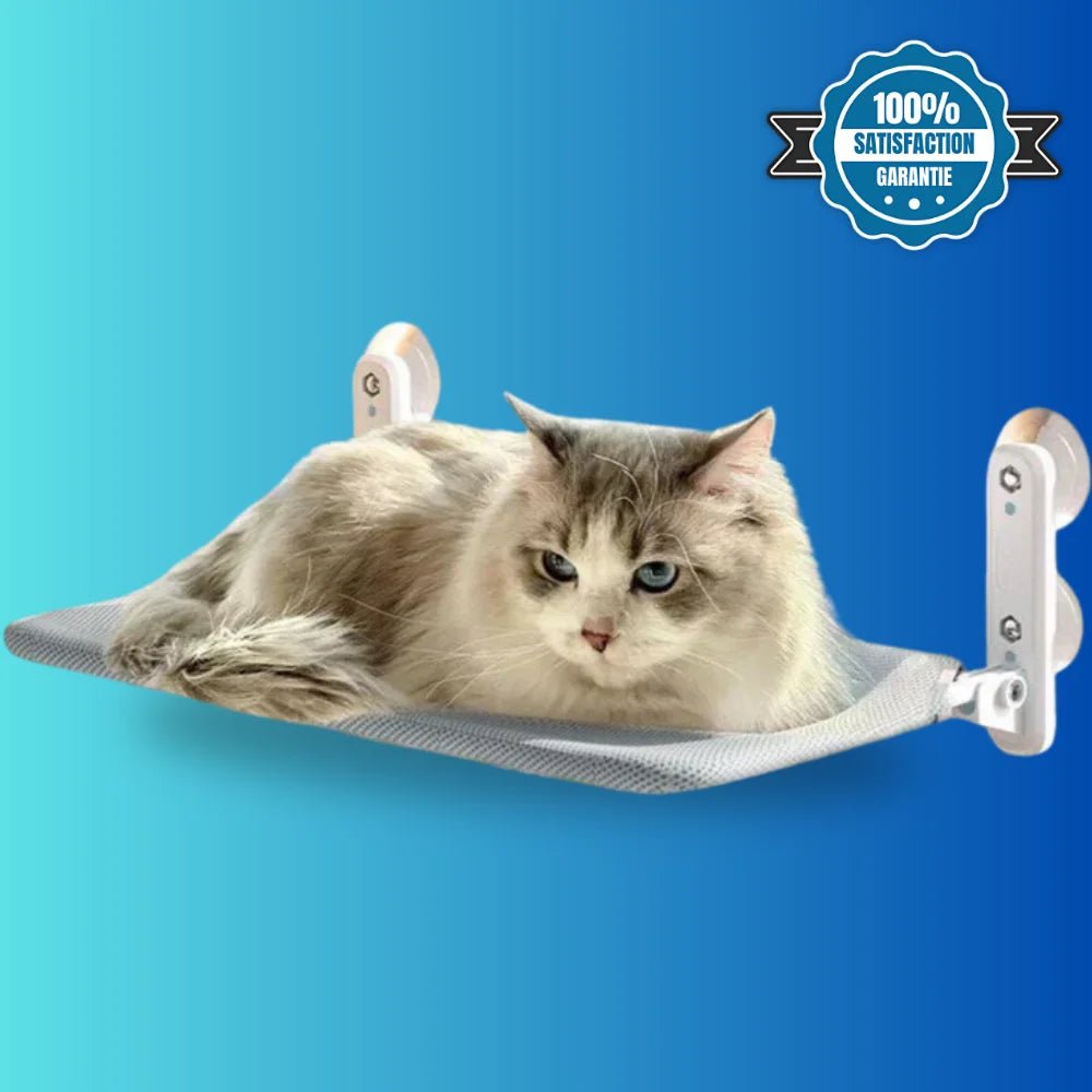Hamac pour chat à ventouses HamaCat fixé à la fenêtre avec chat installé dessus