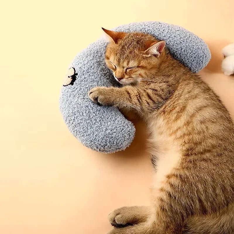 Lit à Gratter Pour Chat - oaura
