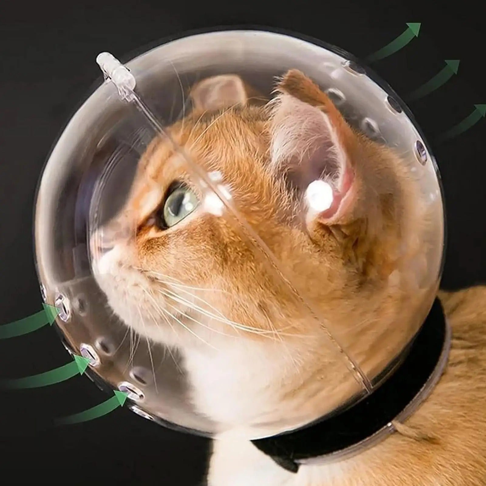 Masque protecteur anti-griffure pour chat - CalmiCat™