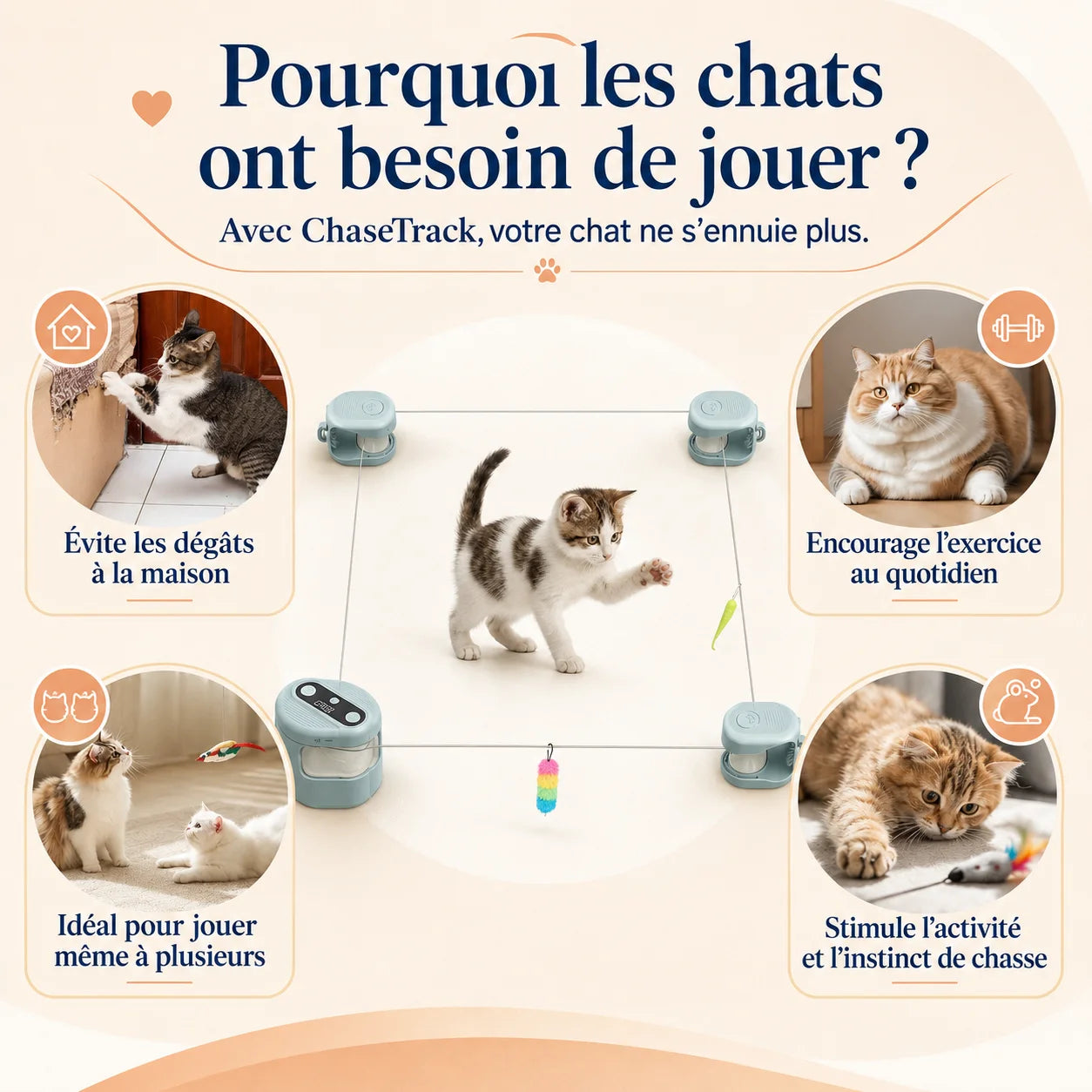 Chat jouant avec ChaseTrack, un jouet interactif qui encourage l’exercice et stimule l’instinct de chasse