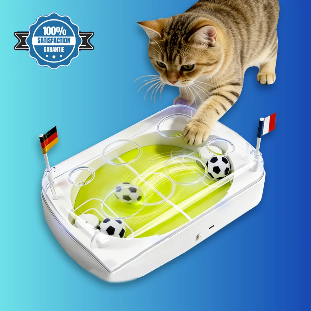 Chat jouant avec le jouet interactif ArenaCat en action