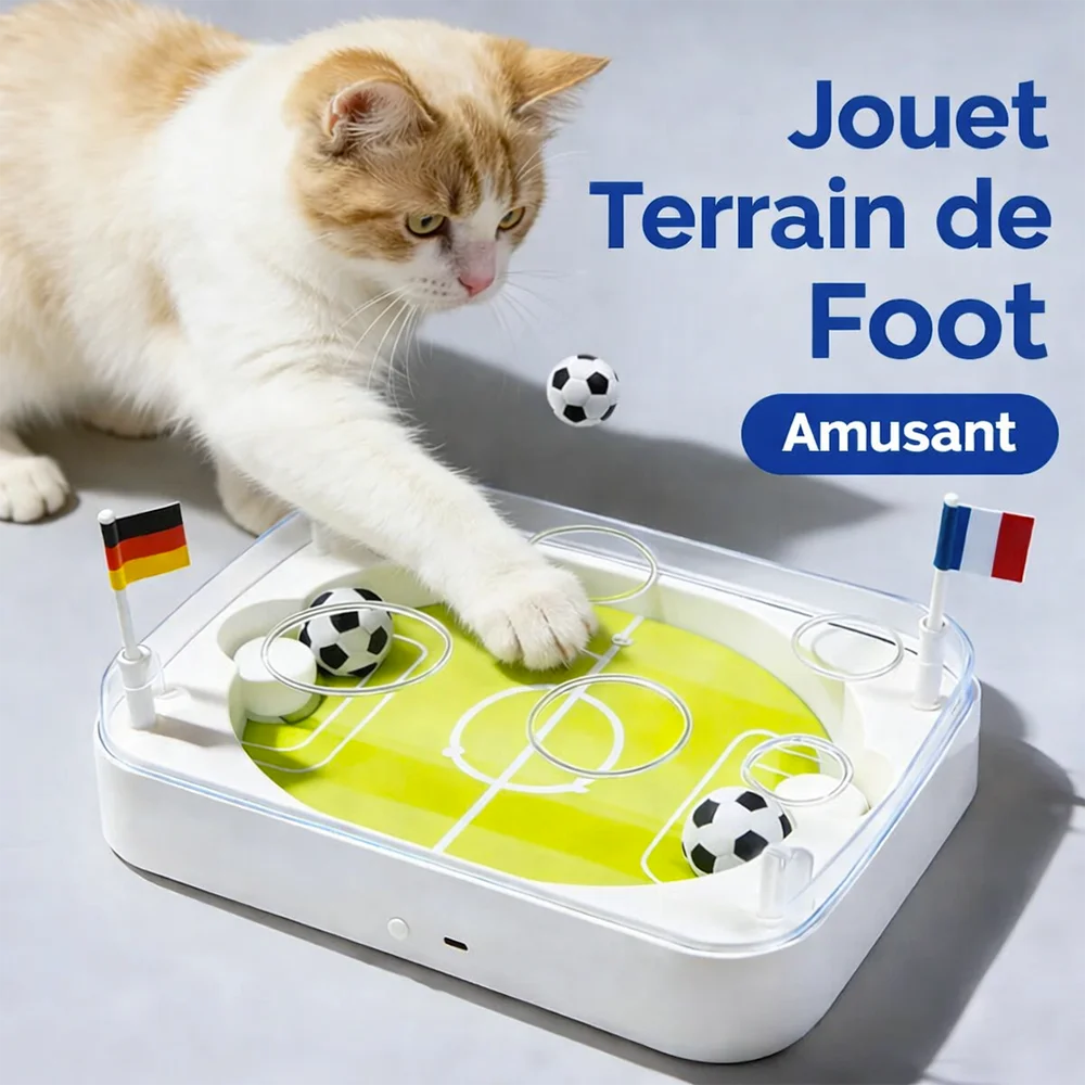 Chat jouant avec le jouet interactif ArenaCat en forme de terrain de foot