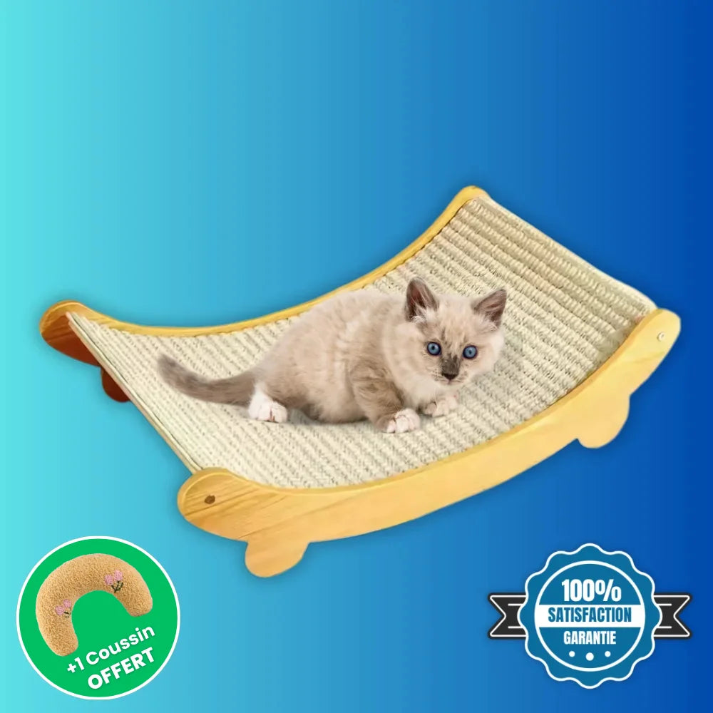 Cat Scratching Bed
