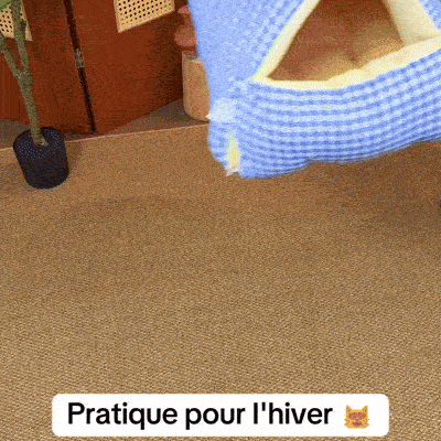 Niche pour chat CosyNest avec refuge douillet semi-fermé pour dormir au chaud