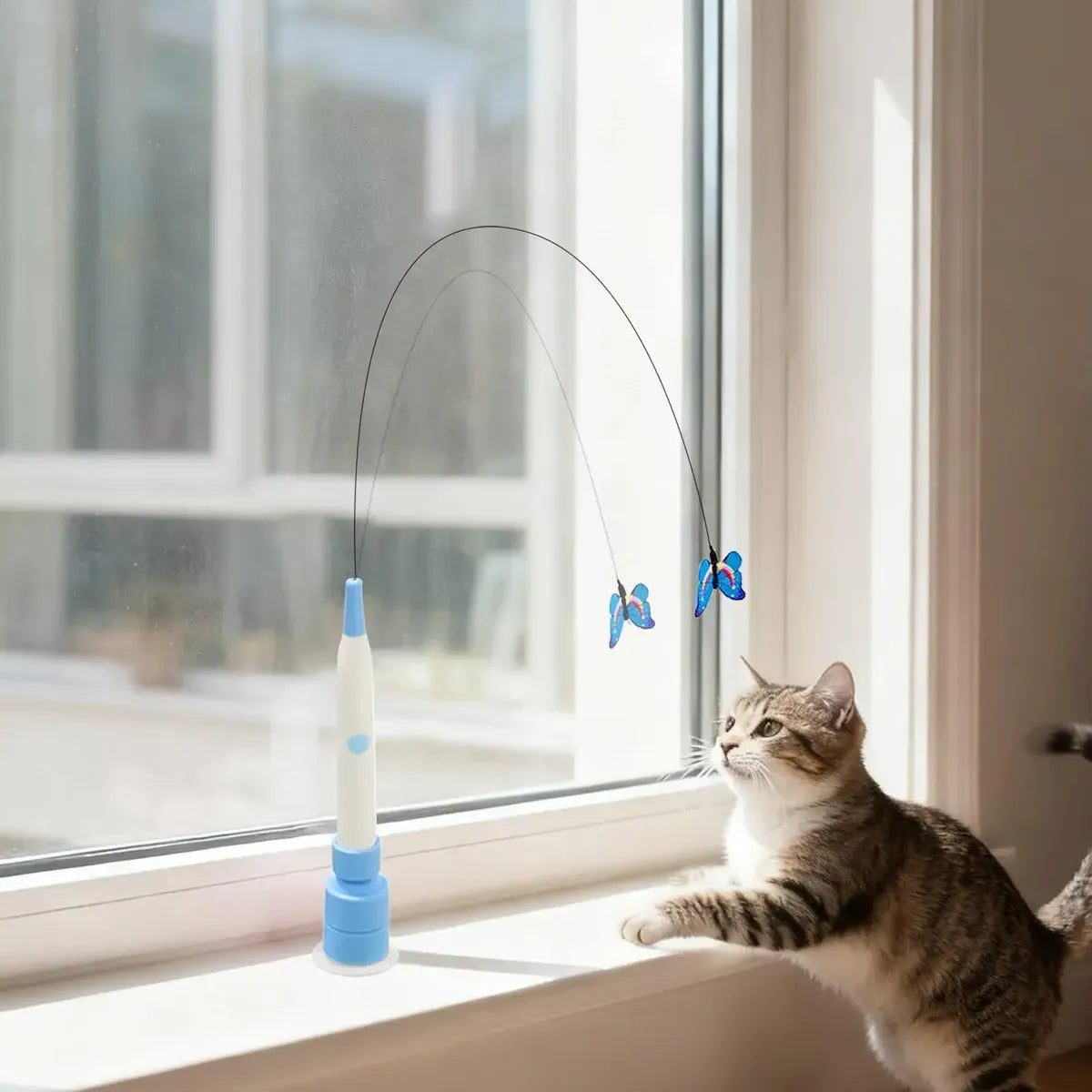 Chat jouant près du papillon interactif FlutterPlay fixé à une fenêtre