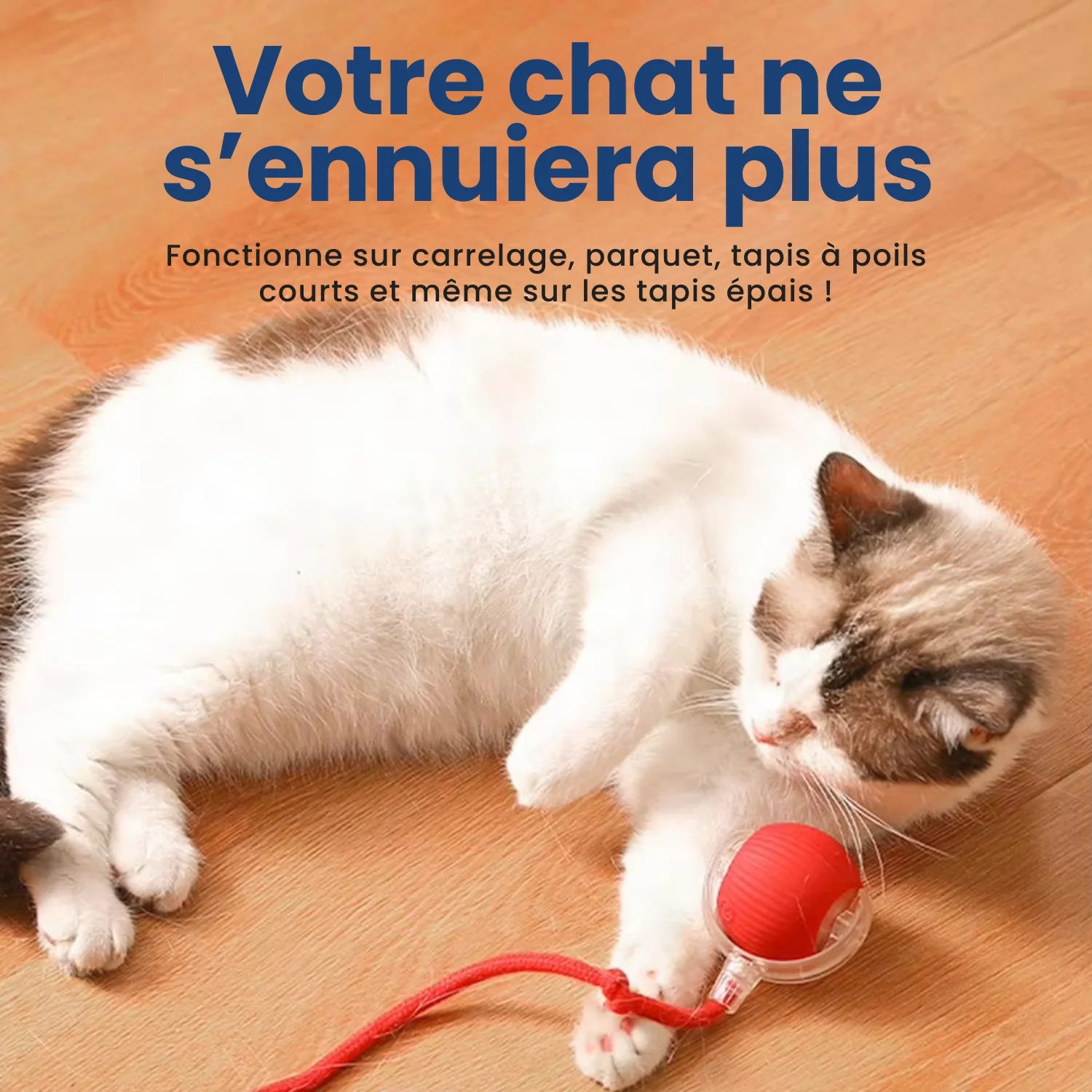 Balle interactive PawBall pour chat d'intérieur anti ennui compatible parquet carrelage et tapis