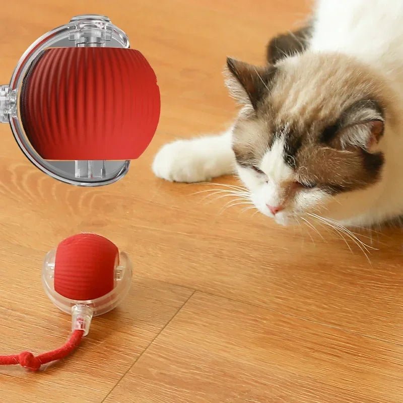 Gros plan de la balle interactive automatique PawBall pour chat rechargeable USB