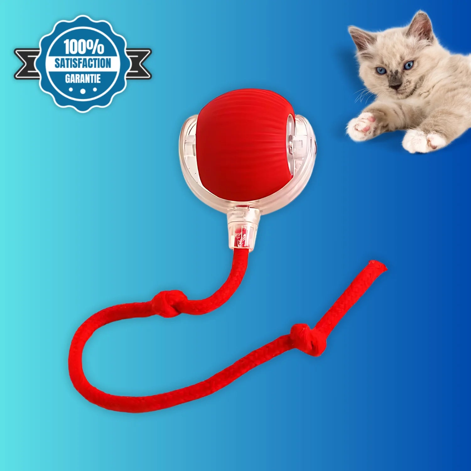 Chat jouant avec la balle interactive automatique PawBall rechargeable USB sur parquet