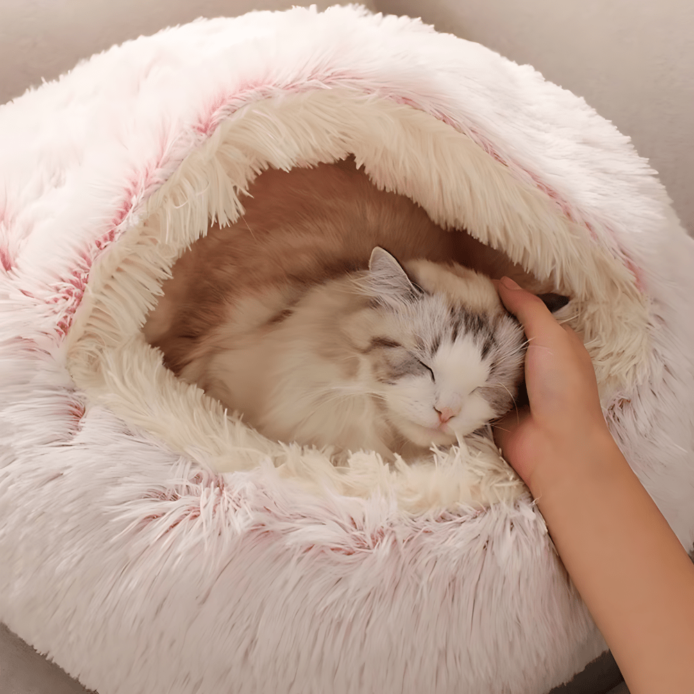 Lit Douillet Pour Chat - PawsCave - oaura