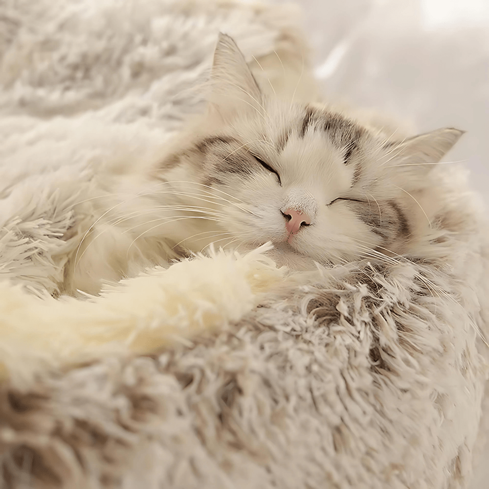 Lit Douillet Pour Chat - PawsCave - oaura