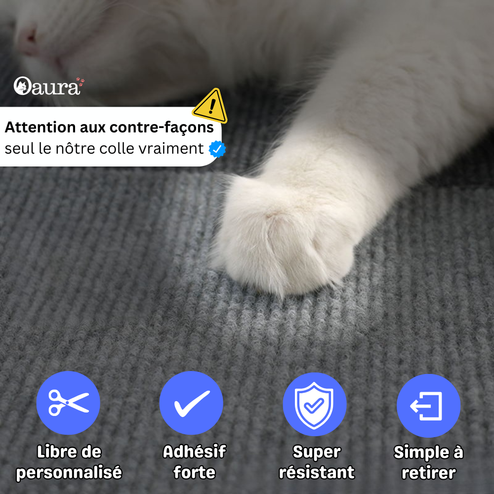 Polymers for Cat Scratching - Polygriffe
