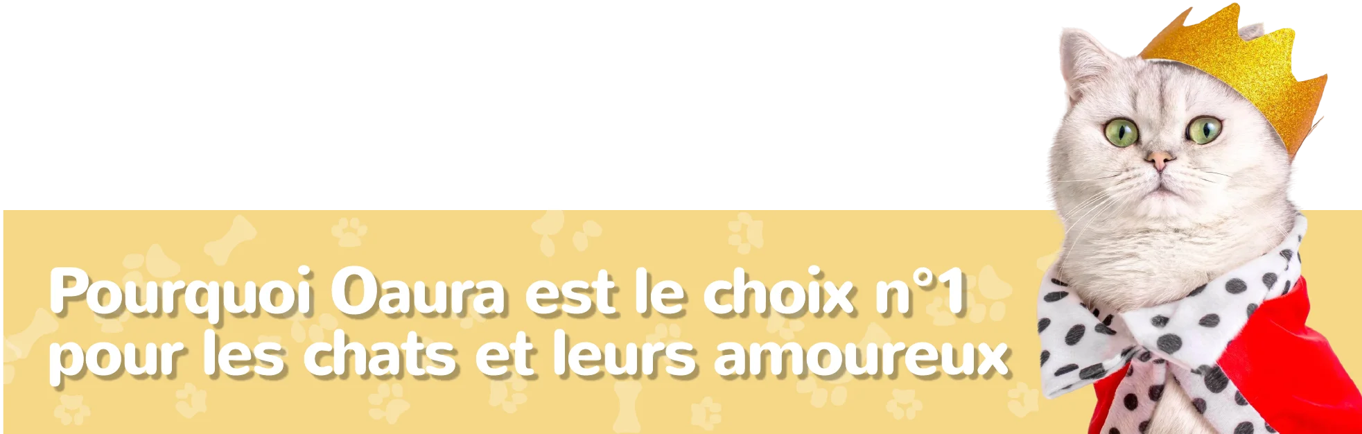 Bandeau Oaura avec chat couronné présentant la boutique comme un choix de confiance pour les chats et leurs amoureux