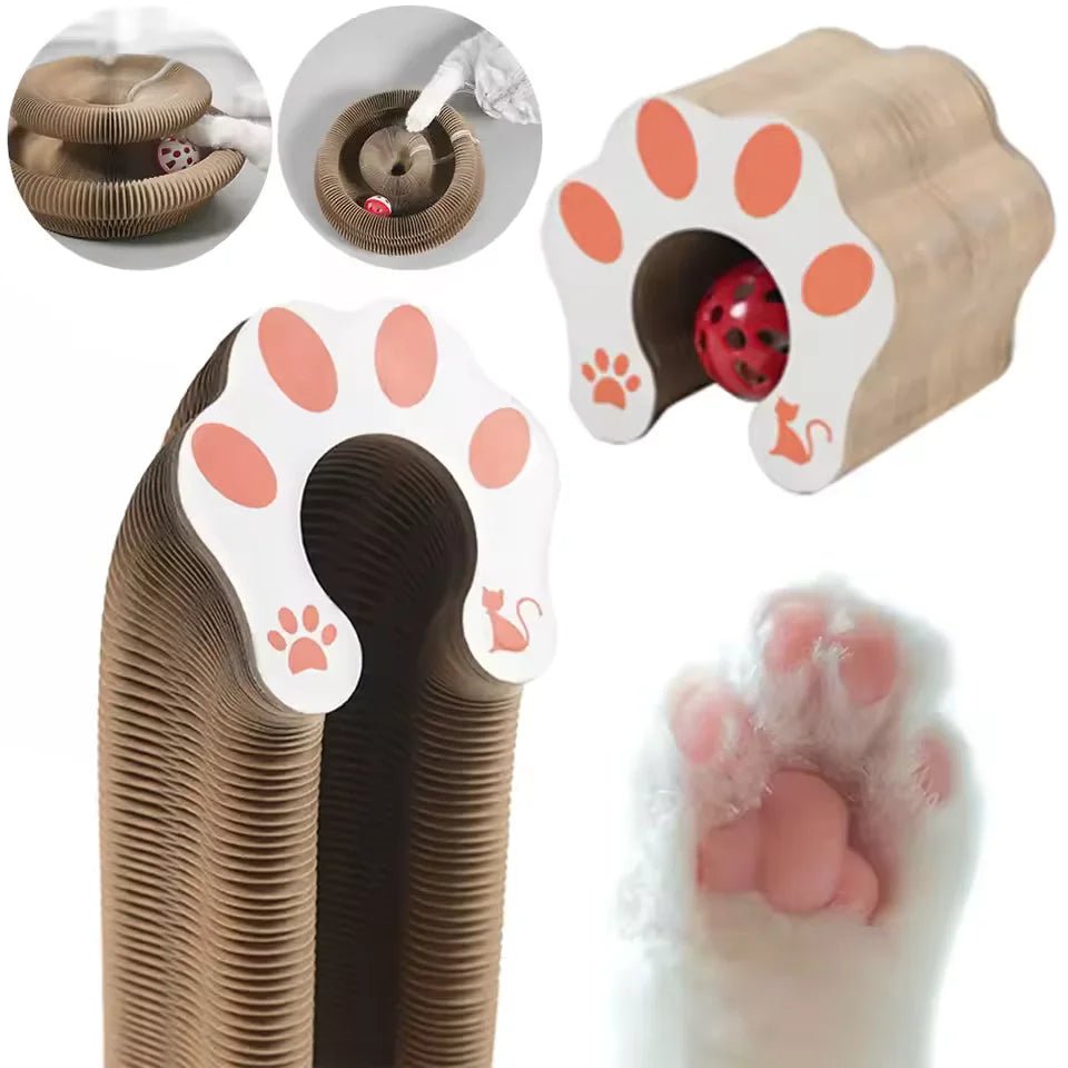 Jouet Planche à Gratter pour Chat - GriffCat - oaura