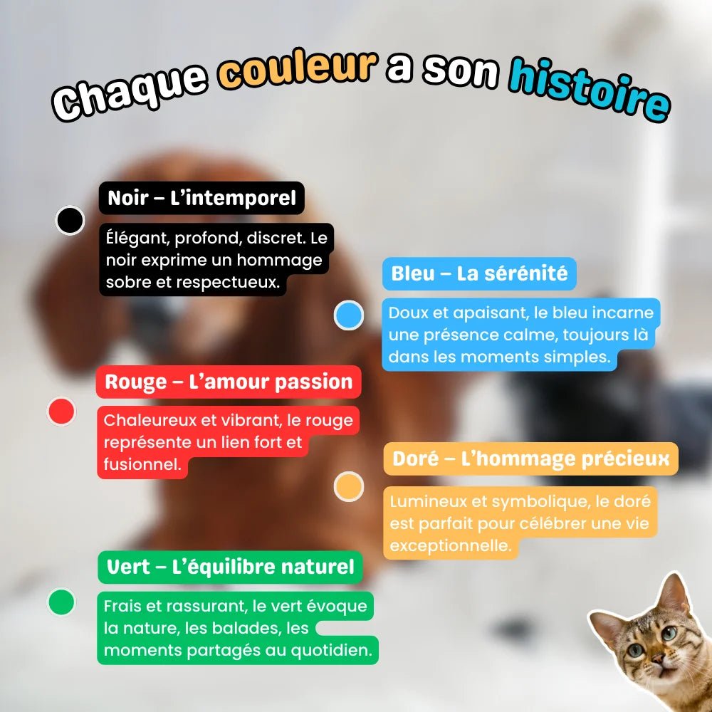 Kit Empreinte Animaux – PawMemory - oaura