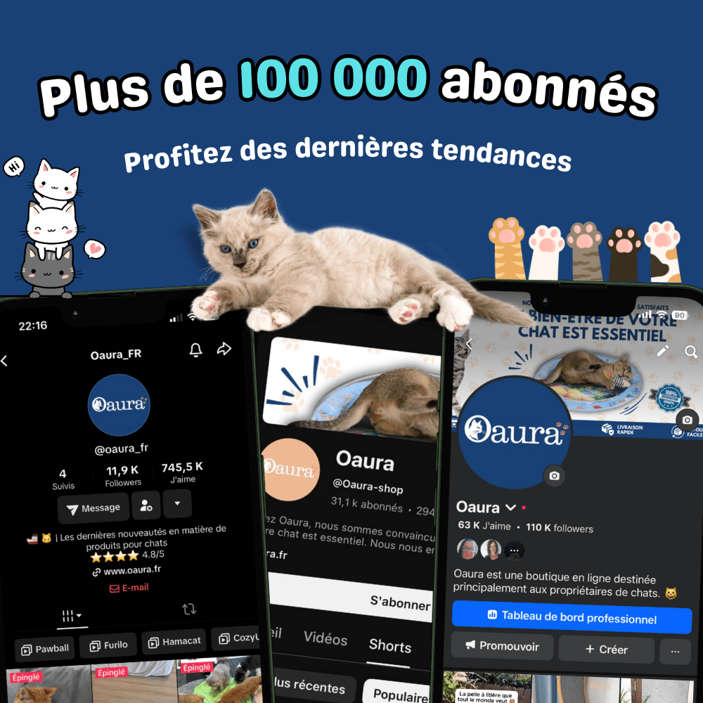 Jouet Planche à Gratter pour Chat - GriffCat - oaura