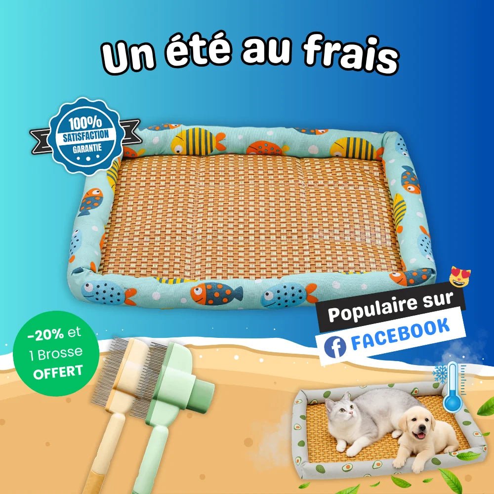 NooMat - Tapis Rafraîchissant pour Chat en Bambou Naturel - oaura