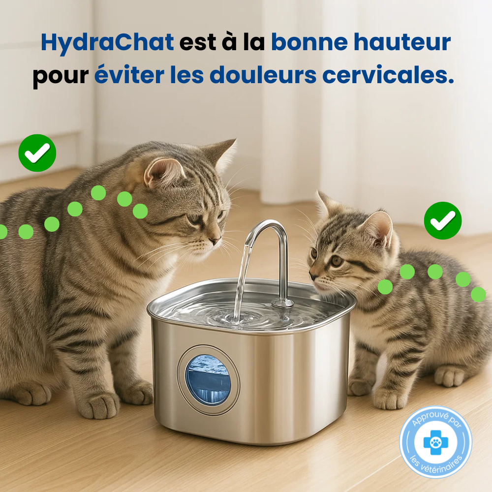 Keep your cat healthy with the Hydrachat system