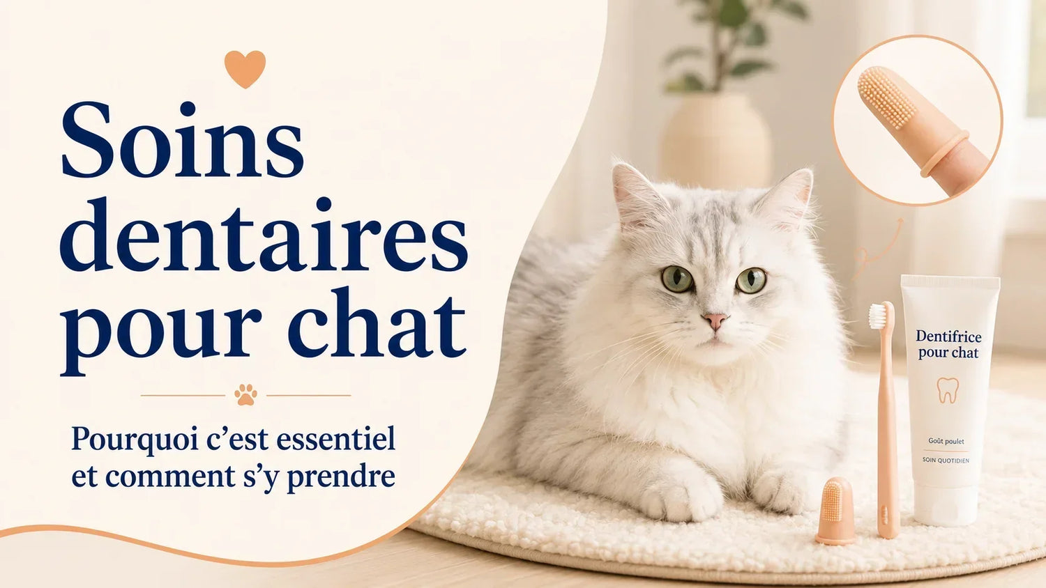 Chat blanc avec brosse à dents et dentifrice pour soins dentaires, guide Oaura sur l’hygiène bucco-dentaire du chat