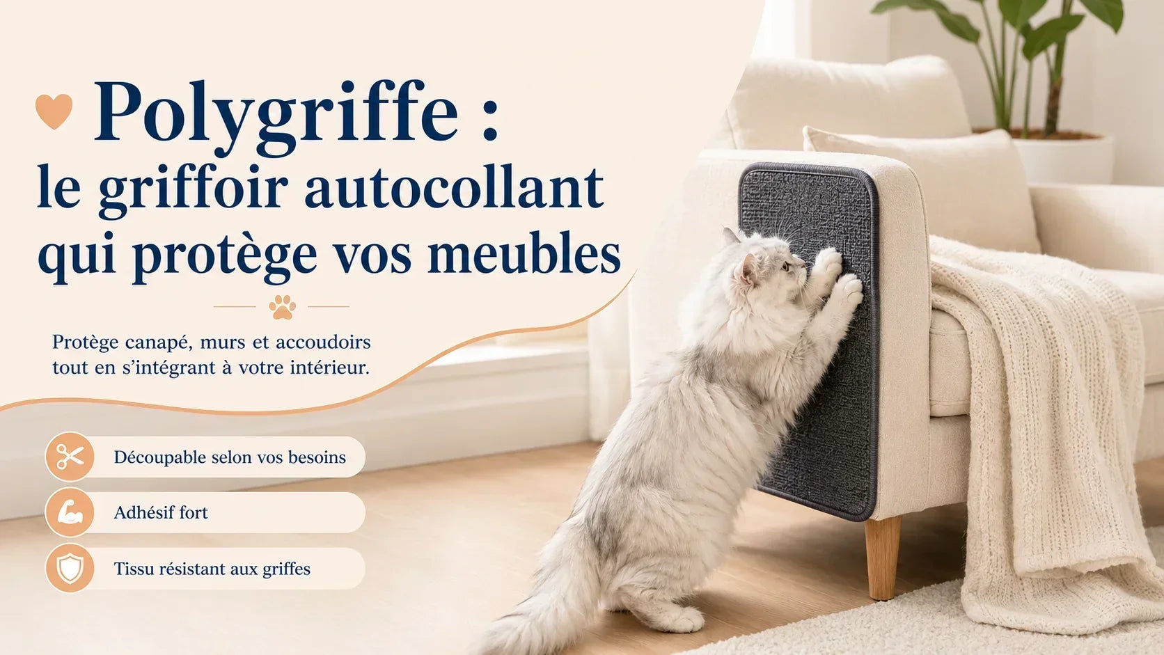 Polygriffe : le griffoir autocollant qui protège vos meubles