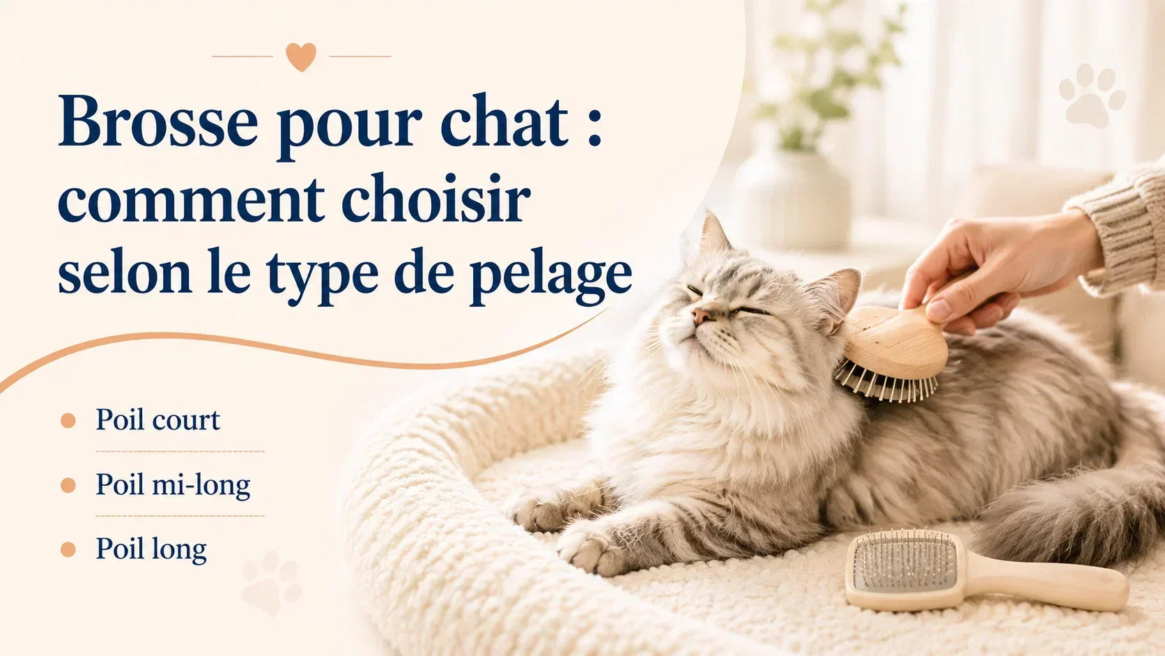 Brosse pour chat : comment choisir selon le type de pelage