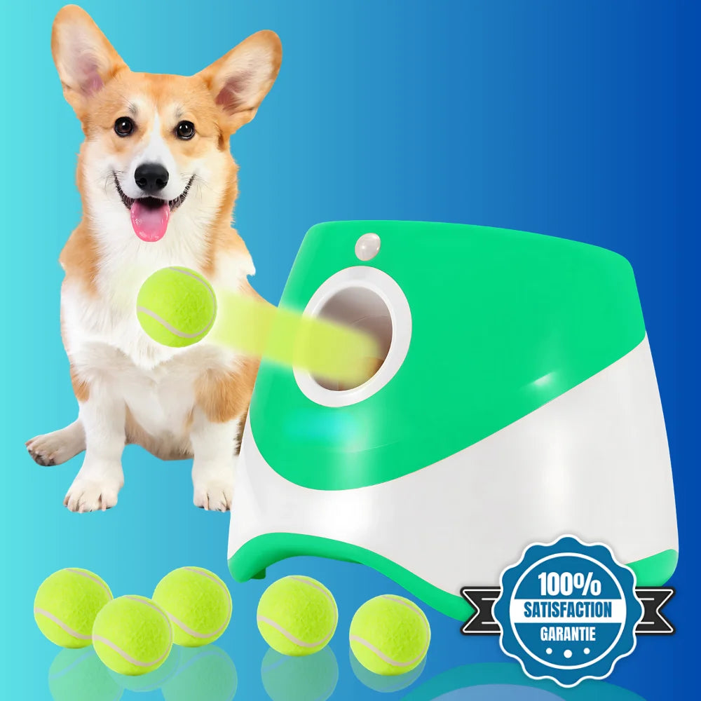Lanceur automatique pour chien – BalliGo