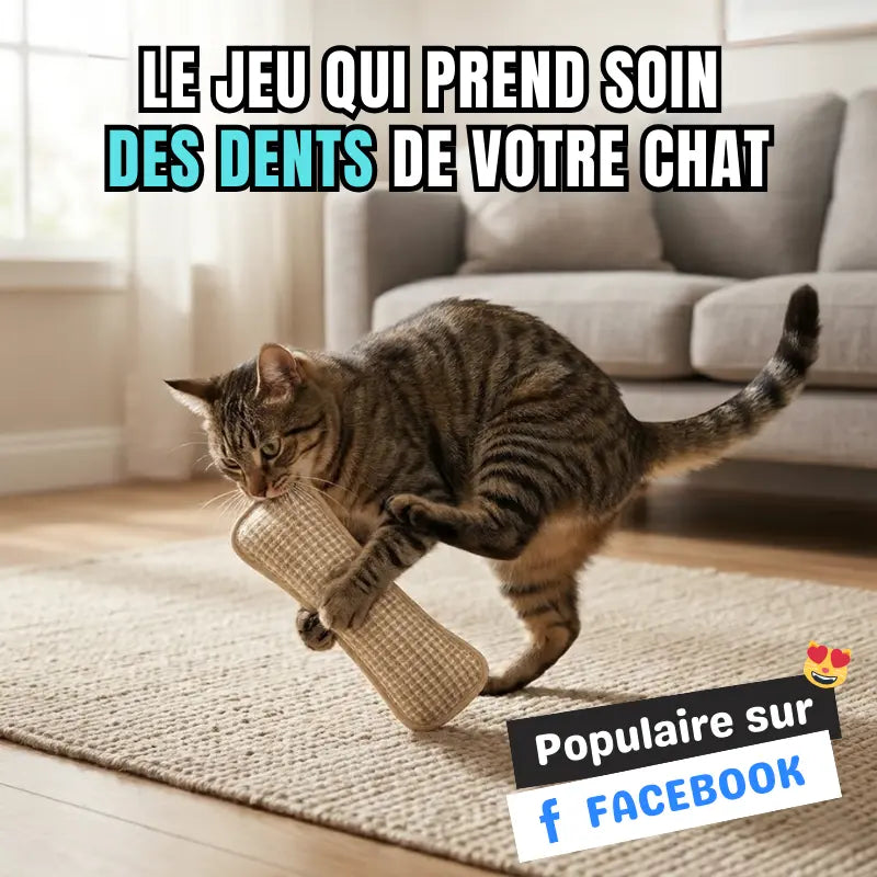 Coussin à Mâcher en Sisal Avec Herbe à Chat