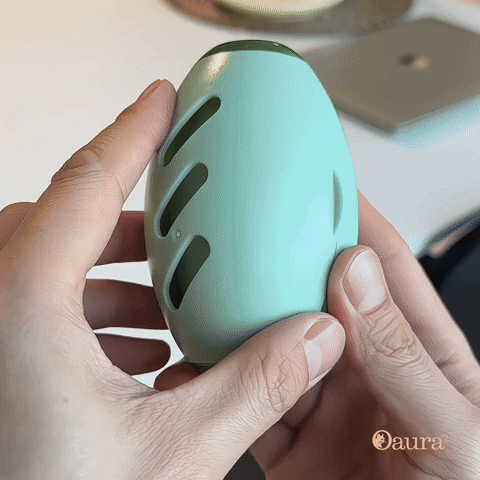gif rouleau anti poil réutilisable