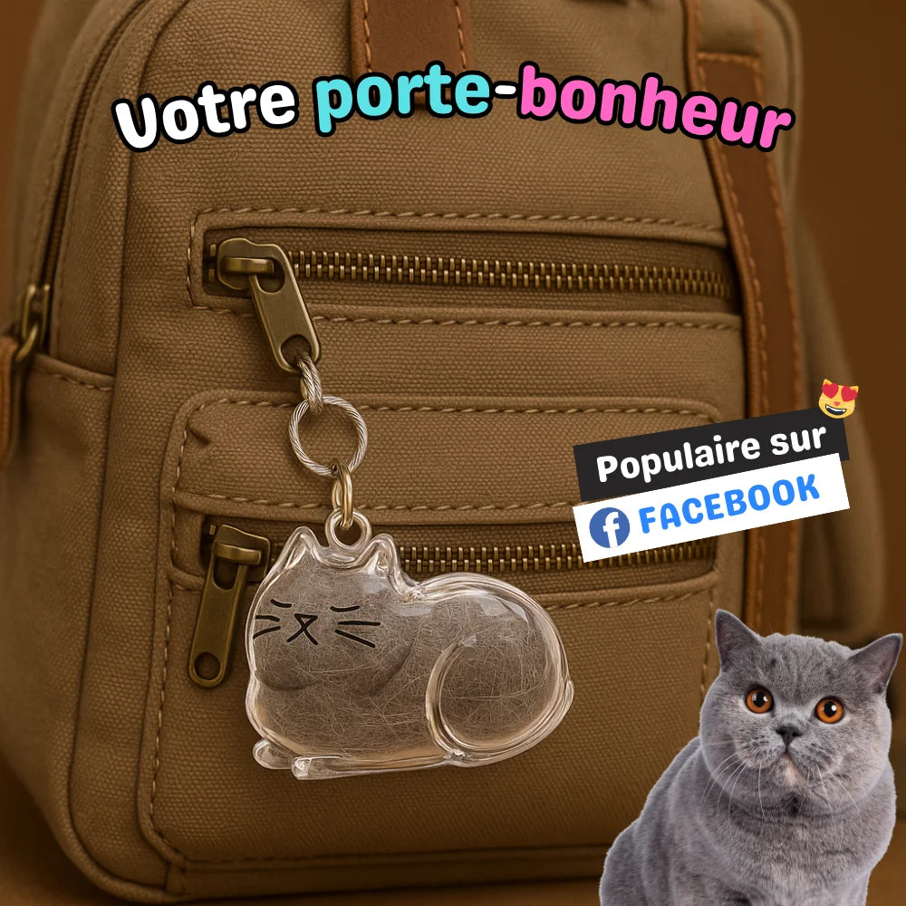 Portachiavi commemorativo - PurrKey