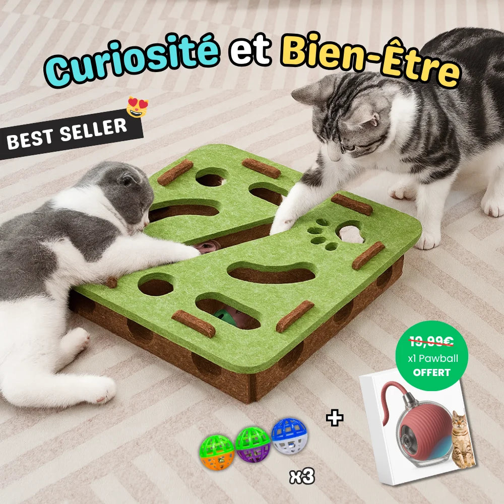 Scatola interattiva per gatti - BoxiCat