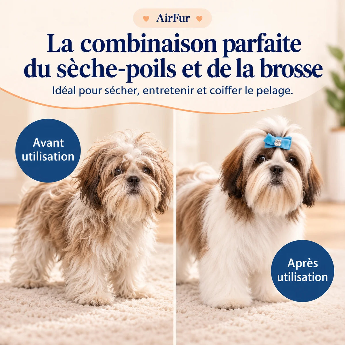 Avant après AirFur sur chien à poils longs pour sécher, brosser et coiffer le pelage