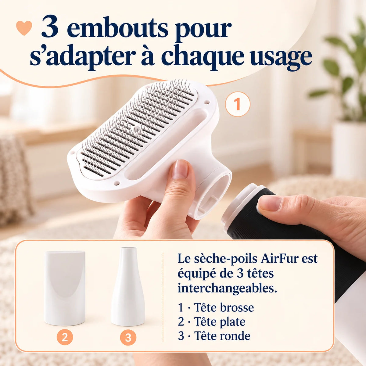 AirFur avec 3 embouts interchangeables pour sécher, brosser et adapter le toilettage selon le besoin