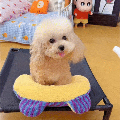 GIF de présentation du sèche-poils AirFur pour chat et chien avec fonction 3-en-1, souffle réglable, embouts interchangeables et brosse autonettoyante