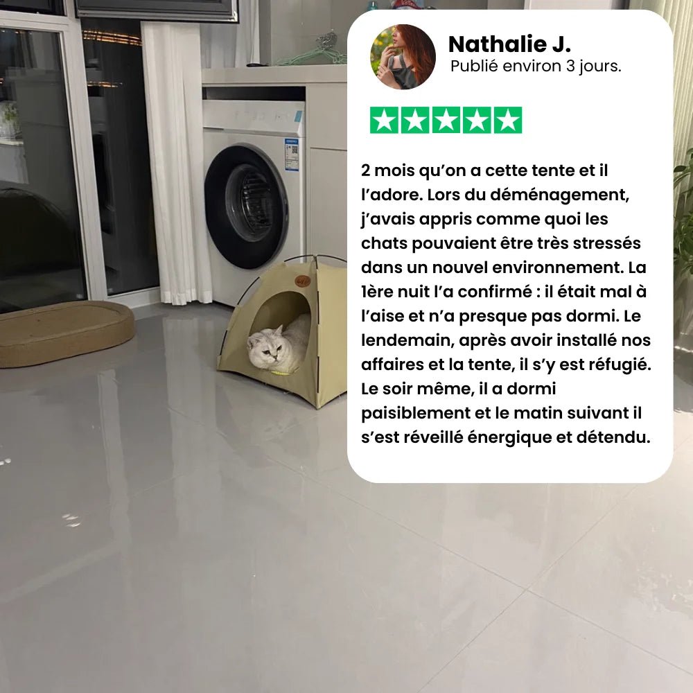 Avis client sur la tente pour chat PawTent montrant un refuge rassurant pour chat stressé lors d’un déménagement