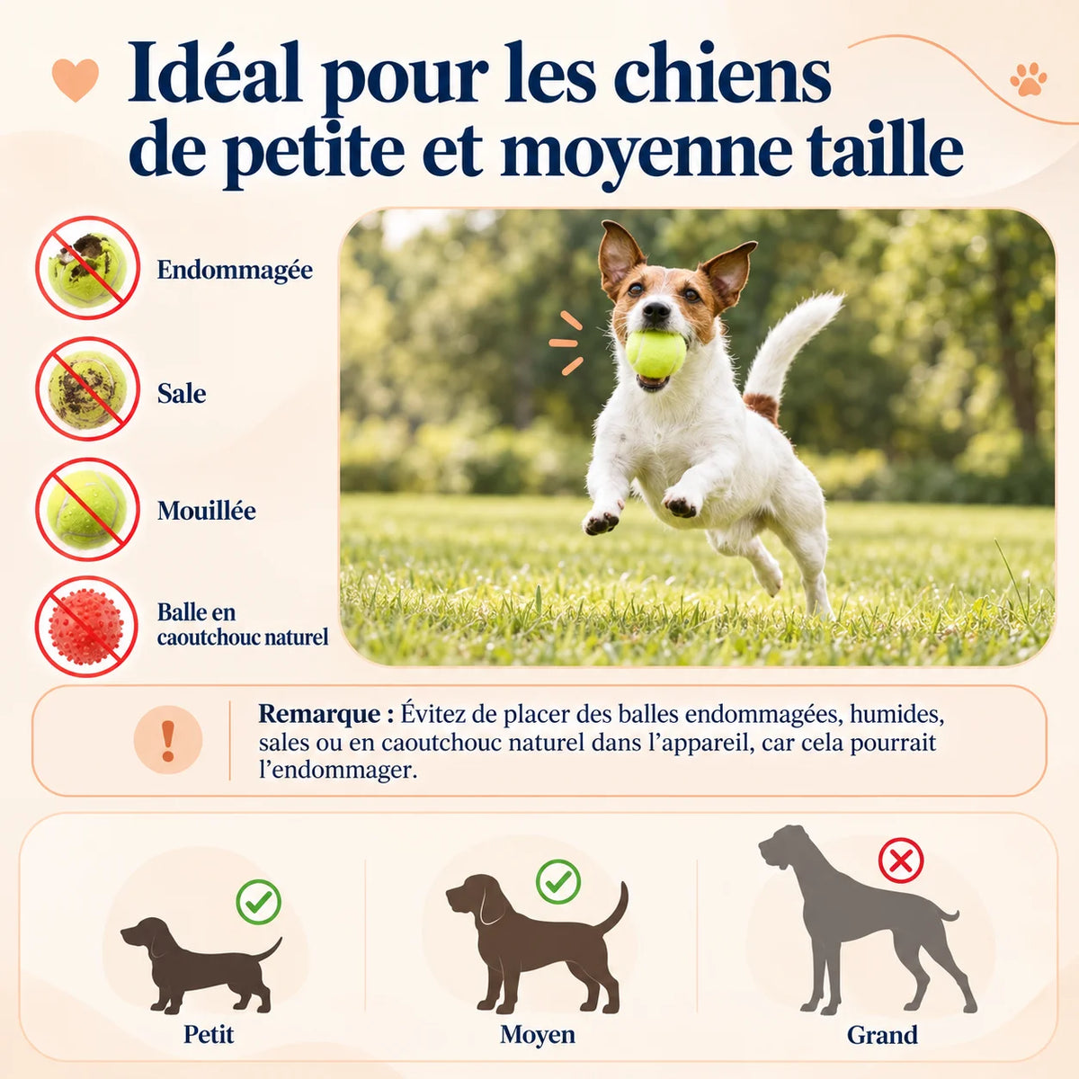 Guide d’utilisation BalliGo avec consignes sur les balles à éviter et taille idéale pour chiens petits et moyens