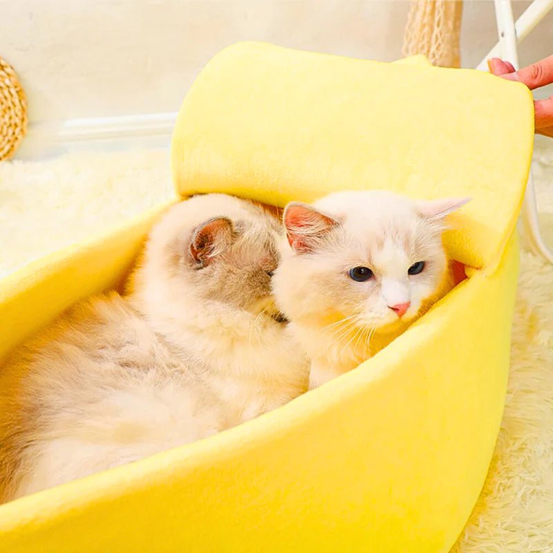 Deux chats installés dans le lit banane BanaChat avec coussin moelleux et forme cocon