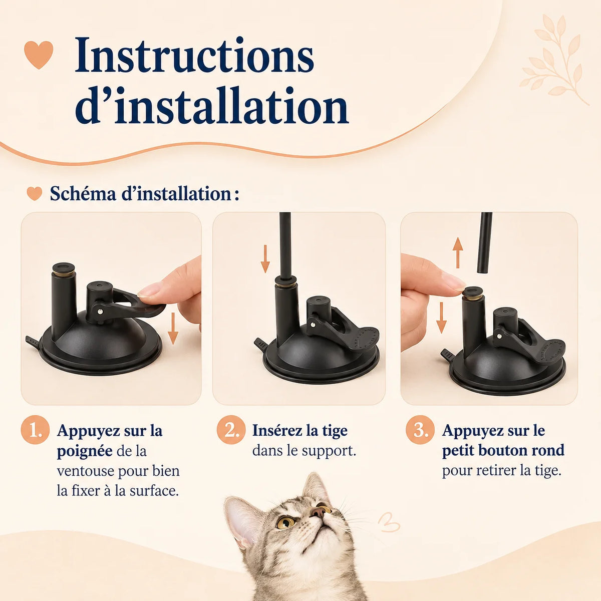 Instructions pour fixer la ventouse et installer la tige flexible du jouet BirdyFun