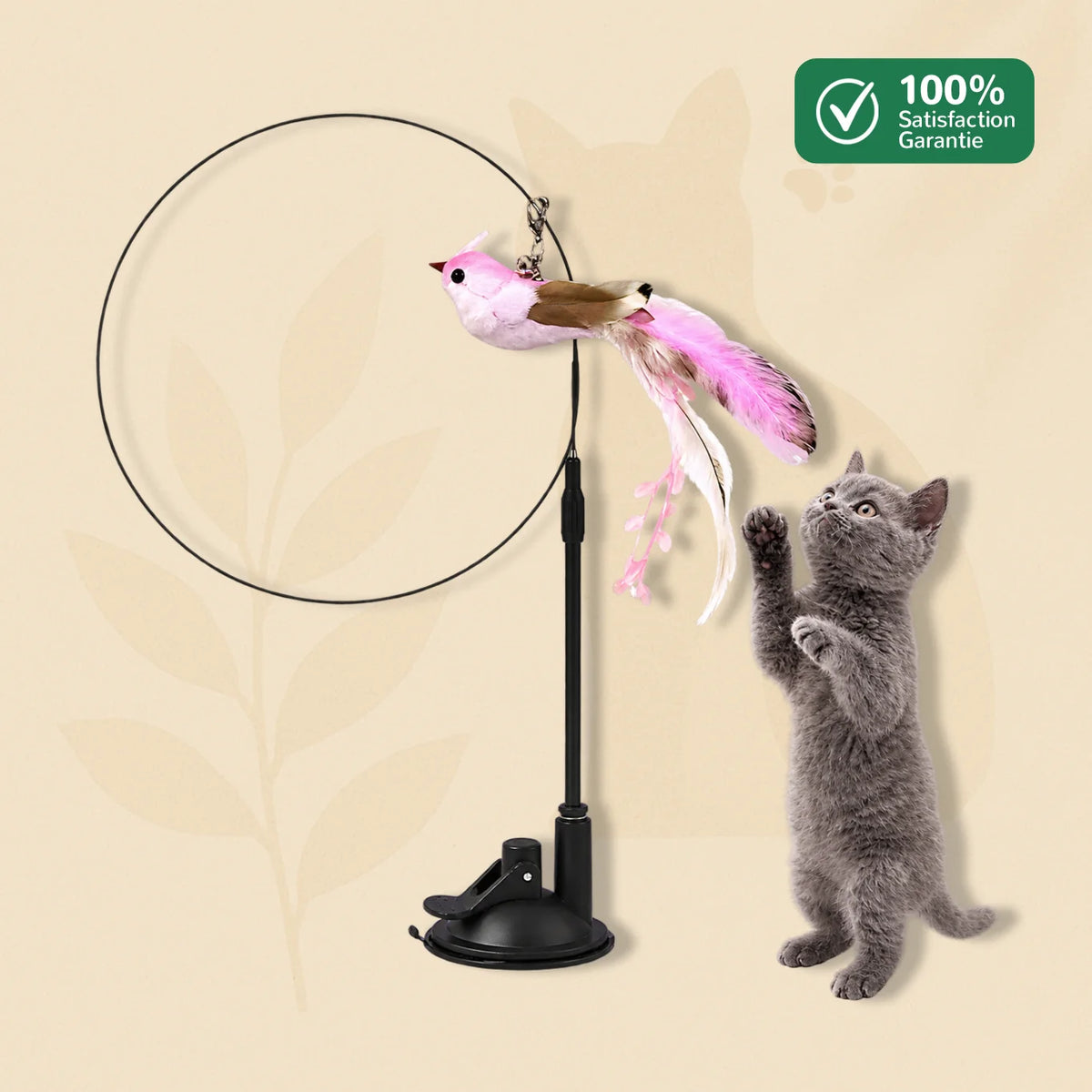Chat jouant avec le modèle rose à plumes du jouet oiseau interactif BirdyFun