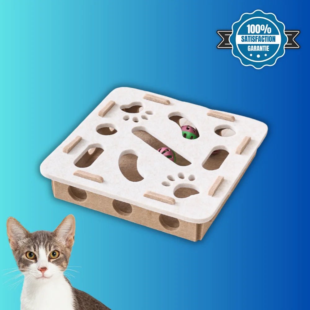 Boîte interactive BoxiCat blanche carrée avec labyrinthe et balles pour chat
