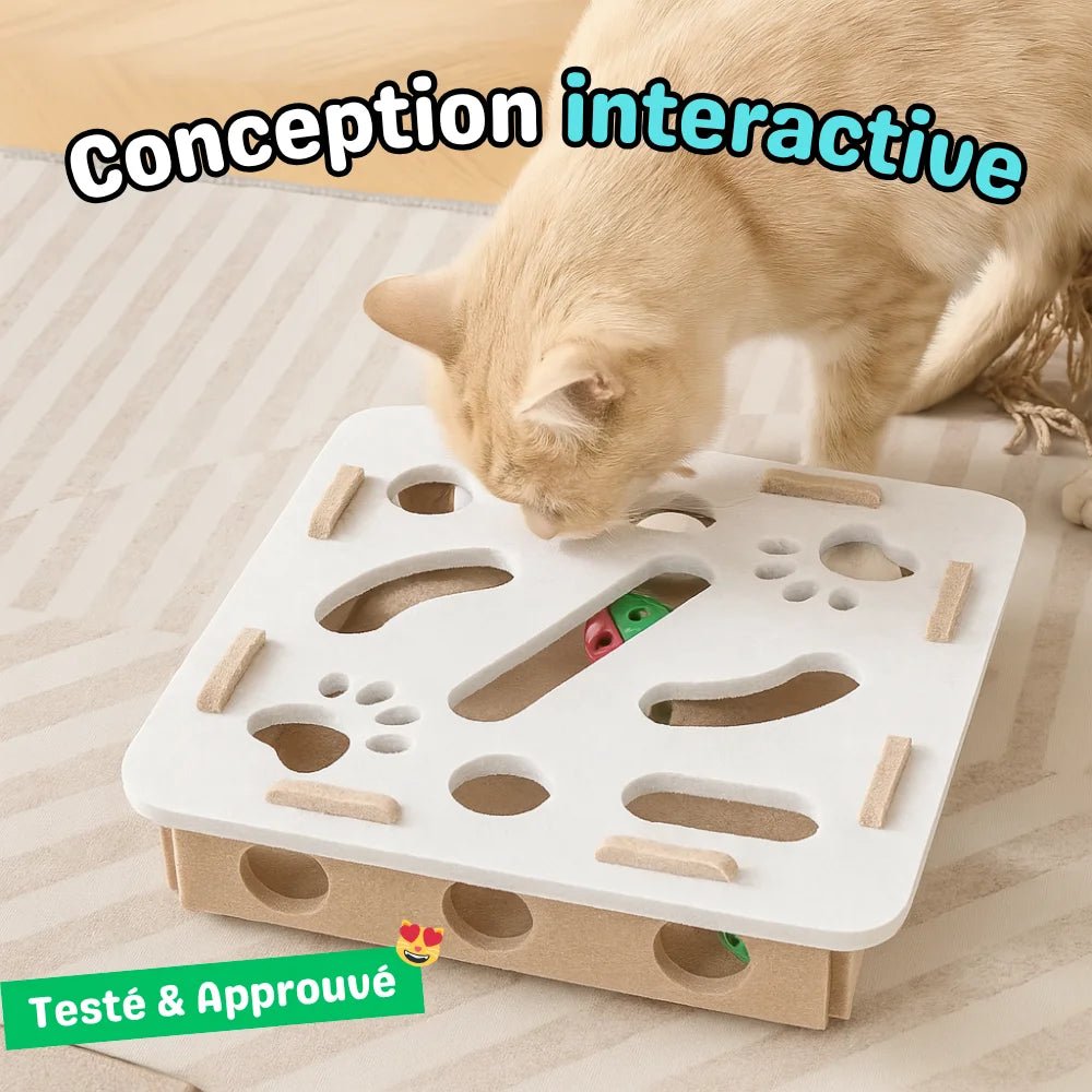 Chat jouant avec la boîte interactive BoxiCat blanche avec labyrinthe et balles