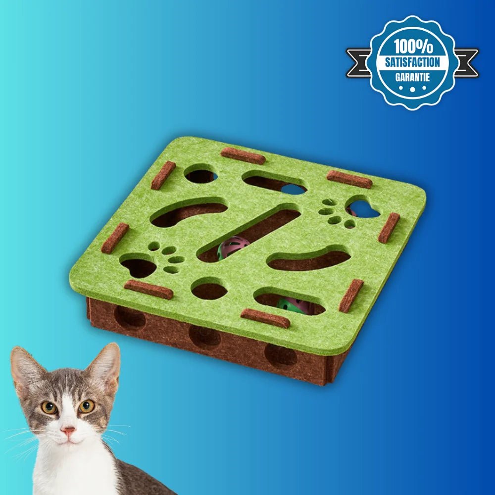 Boîte interactive pour chat BoxiCat verte avec labyrinthe et balles