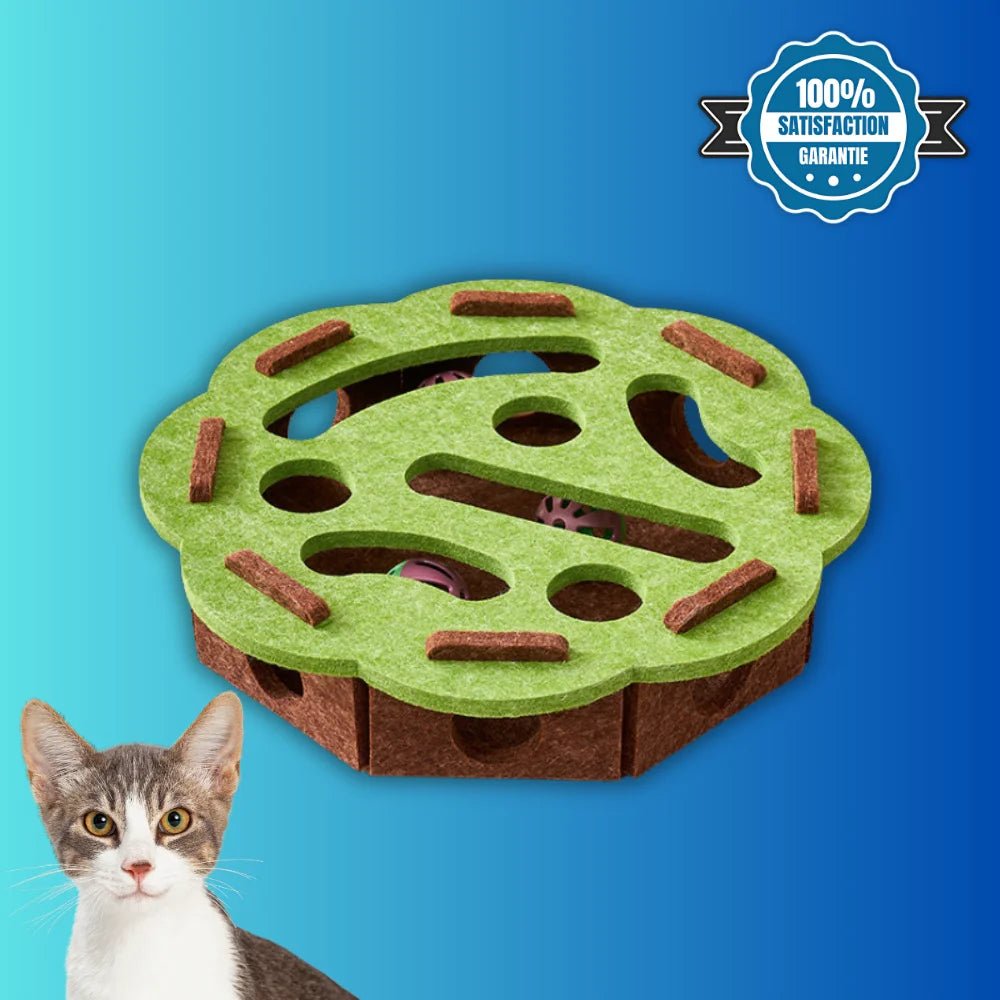 Boîte interactive pour chat BoxiCat ronde verte avec balles et trous de jeu