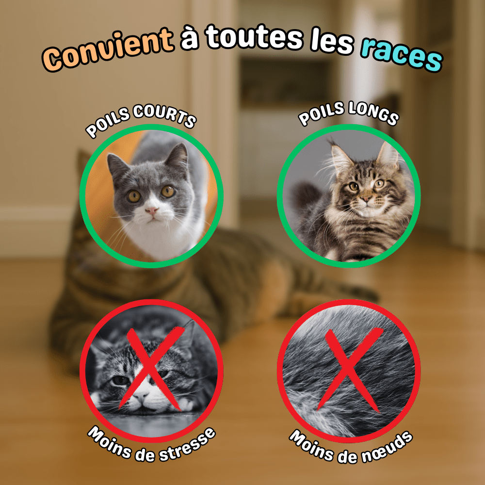 Brosse ZenFur adaptée aux chats à poils courts et poils longs